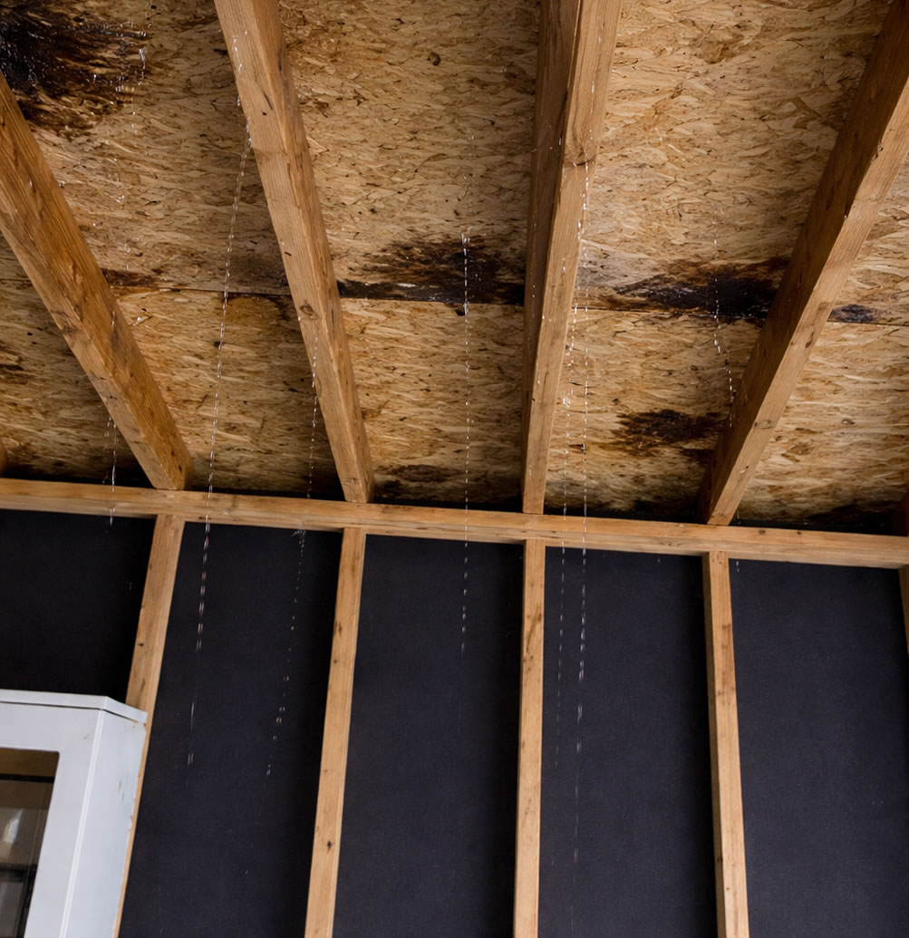 garage roof leaks